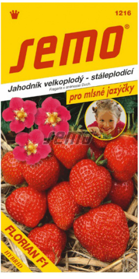 Jahody veľkoplodé SM Florian F1 MLSNÉ JAZÝČKY 12sem.