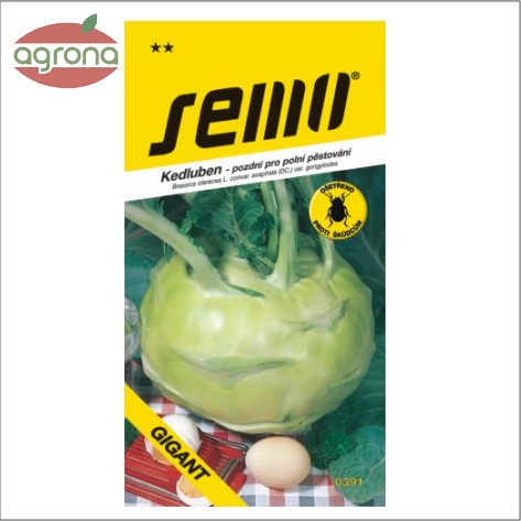 Kaleráb biely neskorý SM Gigant 0,8g