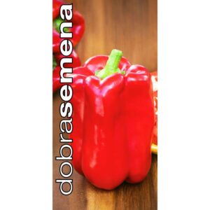 Paprika na pole DS Panache F1 kvadratická XXL, 10 s.