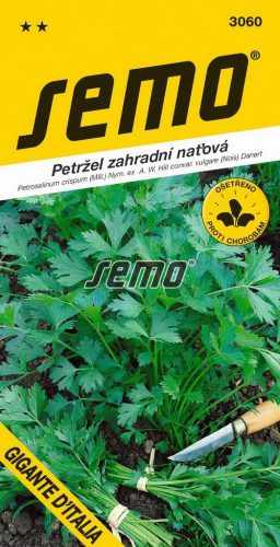 Petržlen vňaťový SM Giant of Italy