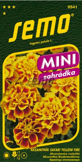 Aksamietnica rozložitá SM Safari Yellow Fire MINI 30 sem.
