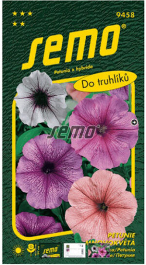 Petúnia hybridná SM Zmes s orchid hviezdou 50s.
