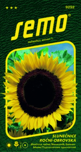 Slnečnica ročná SM Obrovská ruská 2g