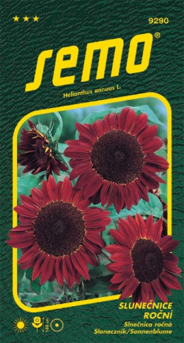 Slnečnica ročná SM červená 2g