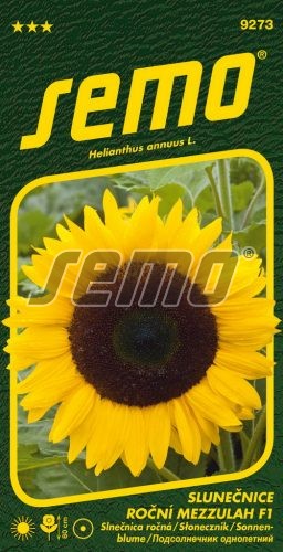 Slnečnica slabá SM Sunny Babe NEKTAR PARTY 1,2g