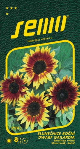 Slnečnica ročná SM Claret F1 8sem.