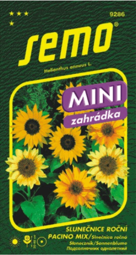 Slnečnica ročná SM Pacino Mix MINI 15sem.