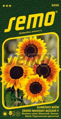 Slnečnica ročná SM Orange Mahogany 8sem.