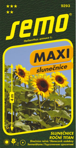 Slnečnica ročná SM Titan F1 obria MAXI 1,5g