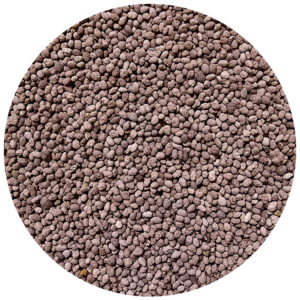 Ďatelina lúčna C1 Inoculated Rhiz. 25kg vrecia, Rozeta