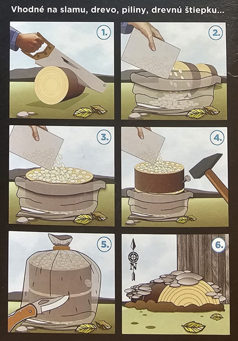 Hliva ustricová 1l sadba-1.generácia obilná sadba - Image 3