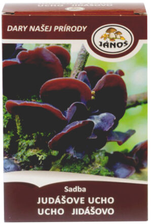 Judášovo ucho 270ml sadba v krabičke