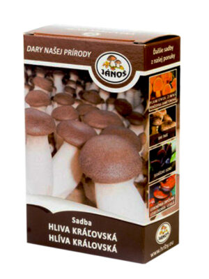 Hliva kráľovská 270ml sadba v krabičke