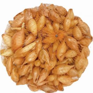 Cibuľka sadzačka Všetana 10-21mm 0,5kg žltá podlhovastá