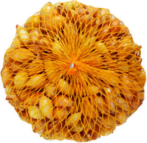 Cibuľka sadzačka Všetana 250g 8-16mm, podlhovastá