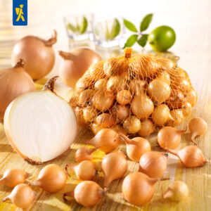 Cibuľka sadzačka Senshyu Yellow (Senžu) 50ks