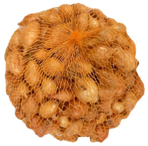 Cibuľka sadzačka jeseň Senshyu Yellow 10-21mm, 250g sieťka bez obrázku (Senžu)