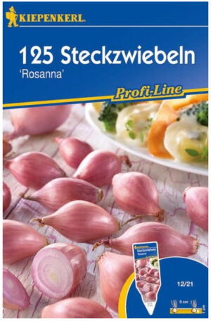 Cibuľka sadzačka Rosana 70ks ružová lahôdková šalotka