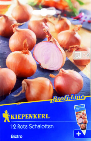 Cibuľka sadzačka Biztro 10ks šalotka červená