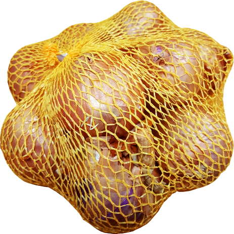 Cibuľka sadzačka Red Sun 250g 7-14mm šalotka červená