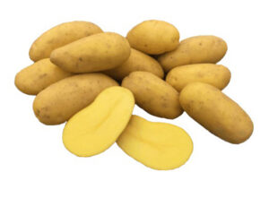 Zemiaková sadba Sunita 5kg - najchutnejšia v degustáciách-poloskorá žltá