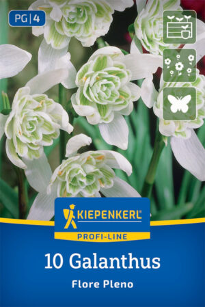 Snežienka Flore Pleno bal.10ks 4/5 biela plnokvetá (galanthus nivalis )10cm Basis