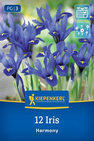 Iris Harmony bal.12 ks 6/+ tmavo modrý15cm Basis