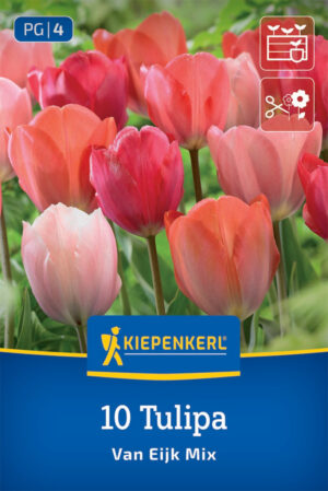 Tulipán Van Eijk Mix bal.10ks  11/12