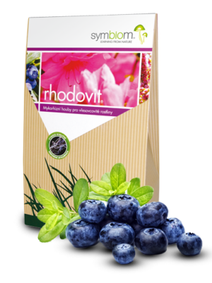 Rhodovit 100g mykorhíza na rododendróny a azalky