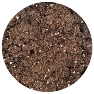 Substrát 70L Gramosemi+perlit, na výsev a pikírovanie Gramoflor