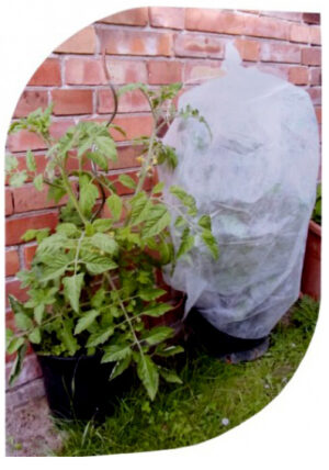 Zimná ochrana na paradajky 10m x 0,75m