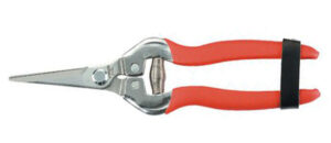 Noznice rovné na kvety Strend Pro Premium 803BS, 185 mm