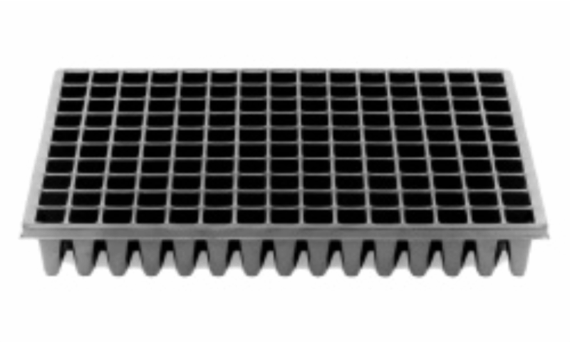 Sadbovač QP 150T rozmery buniek 30x30x65mm na ihličnany