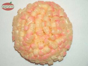 Vosková Chryzantema B žltá oranžový špic