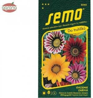 Gazánia lesklá SM zmes do truhlíkov 0,15g