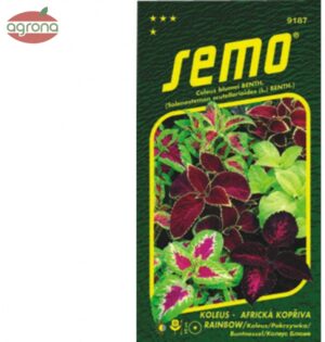 Koleus /Africká žihľava SM Rainbow 0,15g