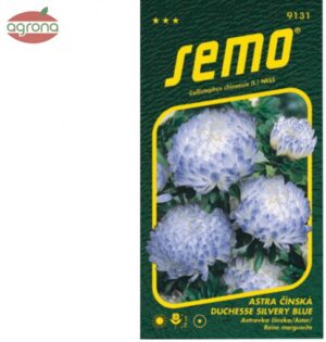 Astra čínska SM Duchesse silvery blue 0,5g