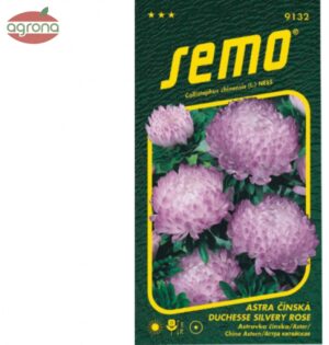 Astra čínska SM Duchesse silvery rose 0,5g