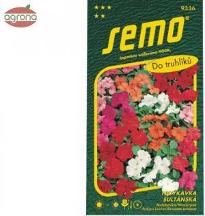 Netýkavka sultánska SM zmes