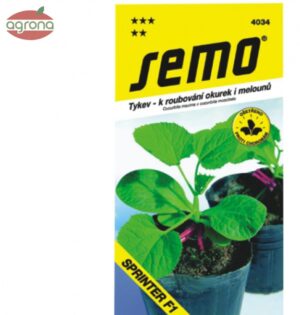 Tekvica fíkolistá SM Sprinter F1 15sem.