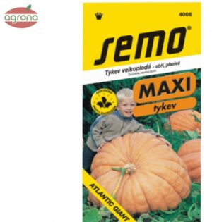 Tekvica plazivá SM Atlantic Giant MAXI 4sem.
