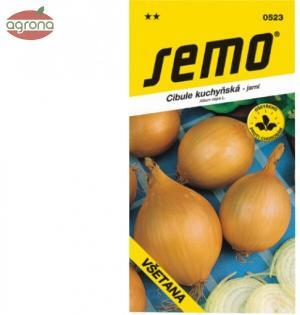 Cibuľa jarná SM Všetana 2g