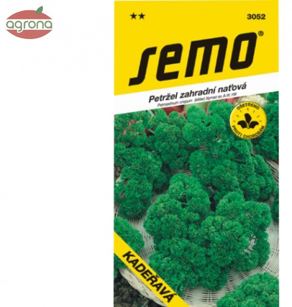 Petržlen vňaťový SM Kadeřavá