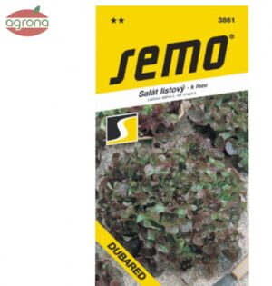 Šalát listový SM13 Dubared tm.červený