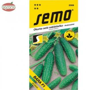 Uhorka nakladačka SM Bára F1 2g