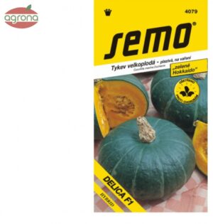 Tekvica SM Delica F1 - typ "Hokkaido" 5sem.