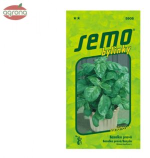 Bazalka SM Lettuce Leaf - šalátovo zelená 1g