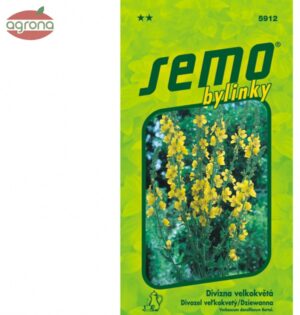 Divozel veľkokvetý SM 0,1g