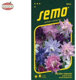 Orlíček zkrížený SM Barlow - plnokvetý