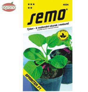 Tekvica fíkolistá SM na vrúbľovanie 15sem.